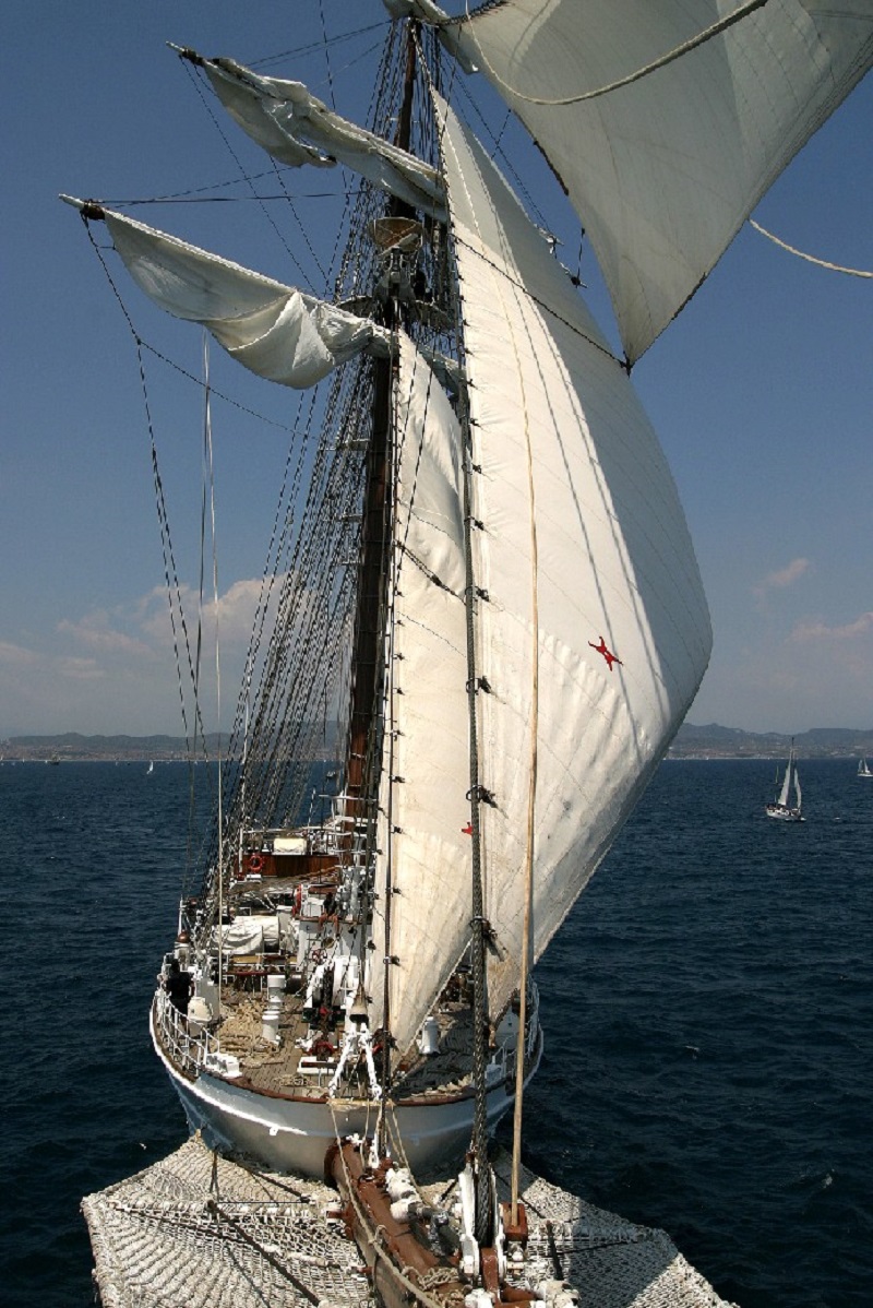 Foques del Juan Sebastián de Elcano